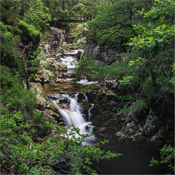 Competition CompetitionScores.Web